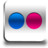 Flickr Icon